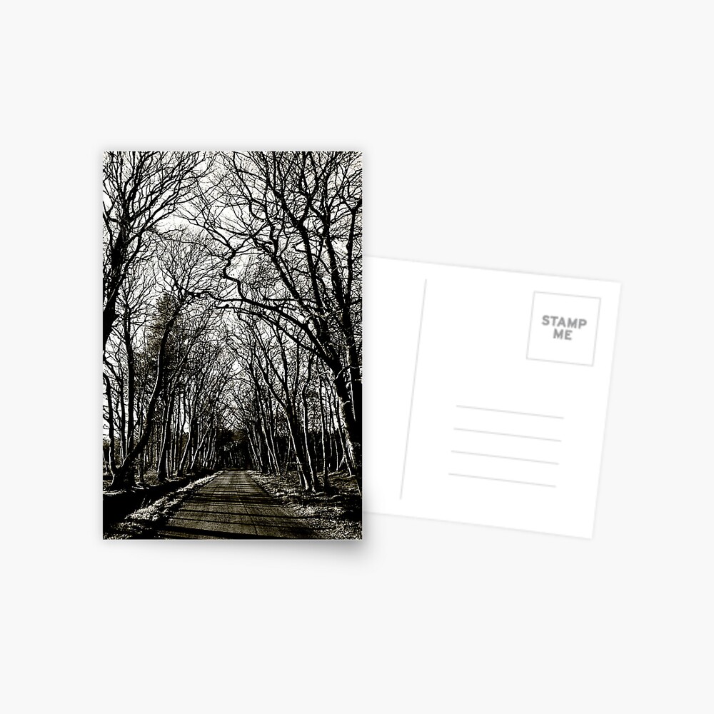 Item preview, Postcard designed and sold by Coigach.