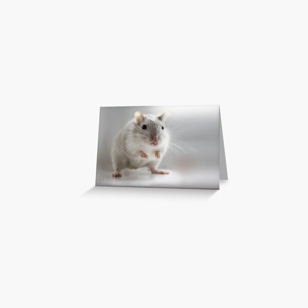 Pleased to meet you.......... Greeting Card