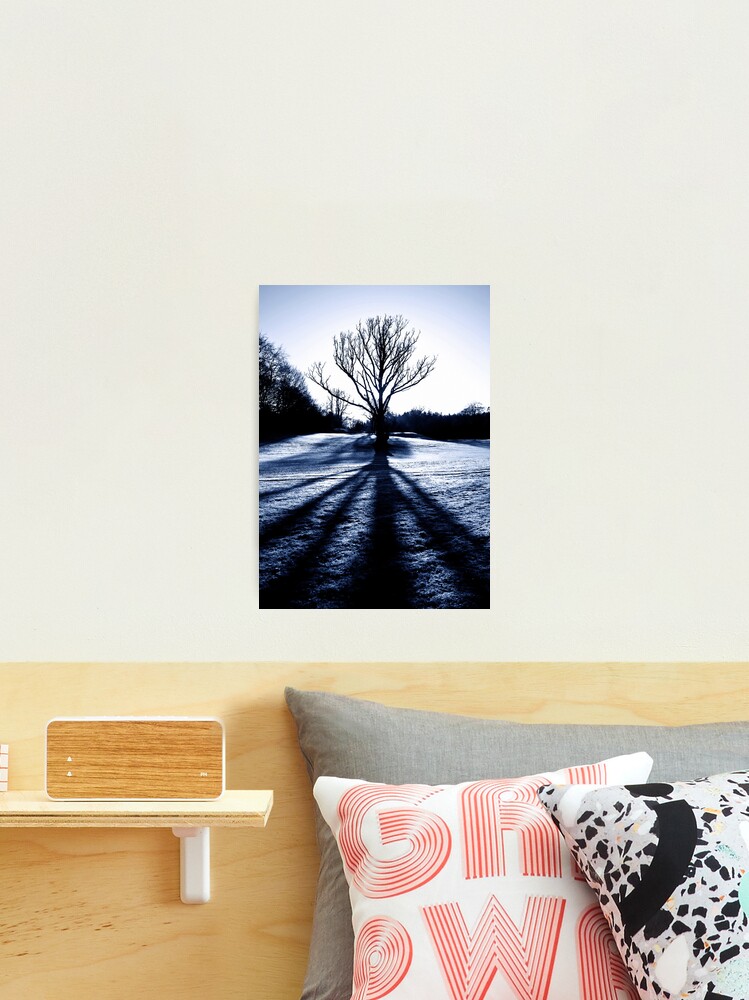 Thumbnail 2 of 3, Photographic Print, Cally Wood Tree designed and sold by Coigach.