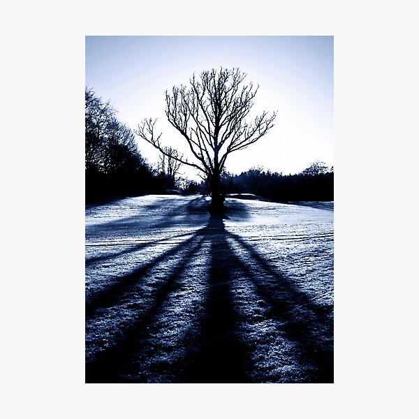 Photographic Print