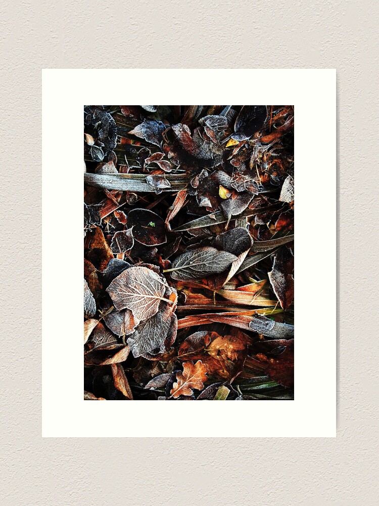 Thumbnail 1 of 3, Art Print, Touch of frost Frost 3 designed and sold by Coigach.