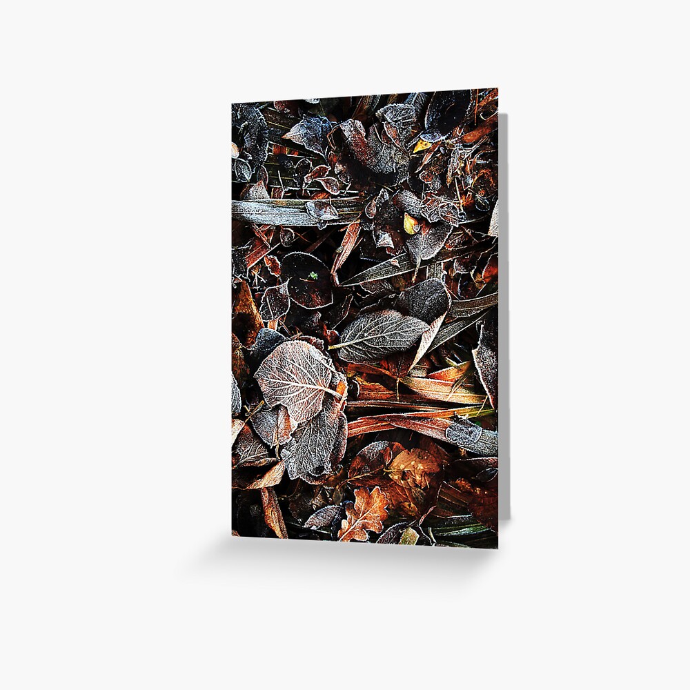Item preview, Greeting Card designed and sold by Coigach.