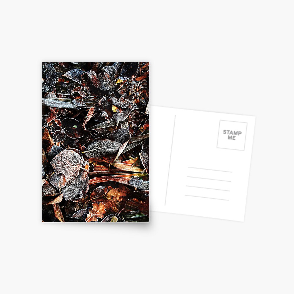 Item preview, Postcard designed and sold by Coigach.