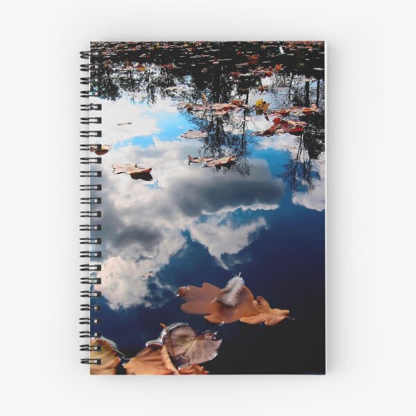Item preview, Cesky Krumlov pond designed and sold by Adrian Rachele.