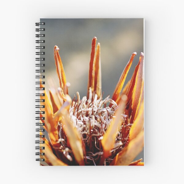 Item preview, Proteaceae in Decay designed and sold by mgimagery.