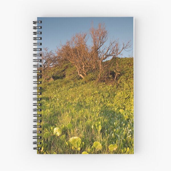 Item preview, HillScape designed and sold by William R. Bullock.