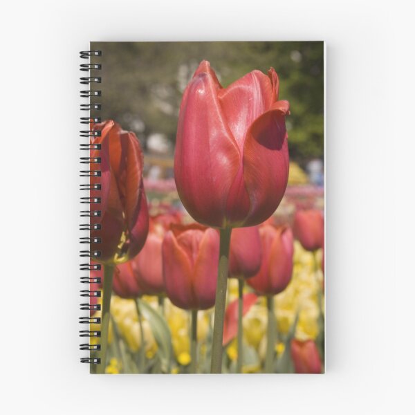 Item preview, Red Tulips designed and sold by Marie Micallef.