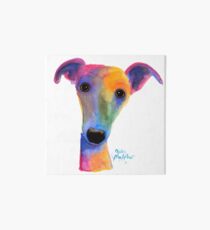WHIPPET / GREYHOUND PRiNT 'PANSY' By Shirley MacArthur Art Board