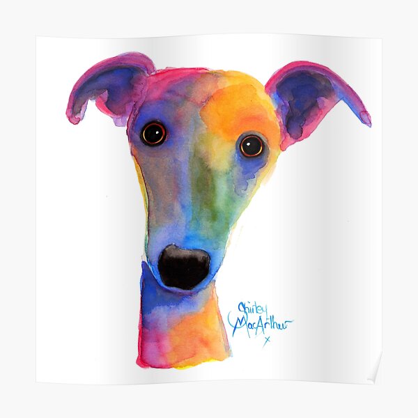 WHIPPET / GREYHOUND PRiNT 'PANSY' By Shirley MacArthur Poster