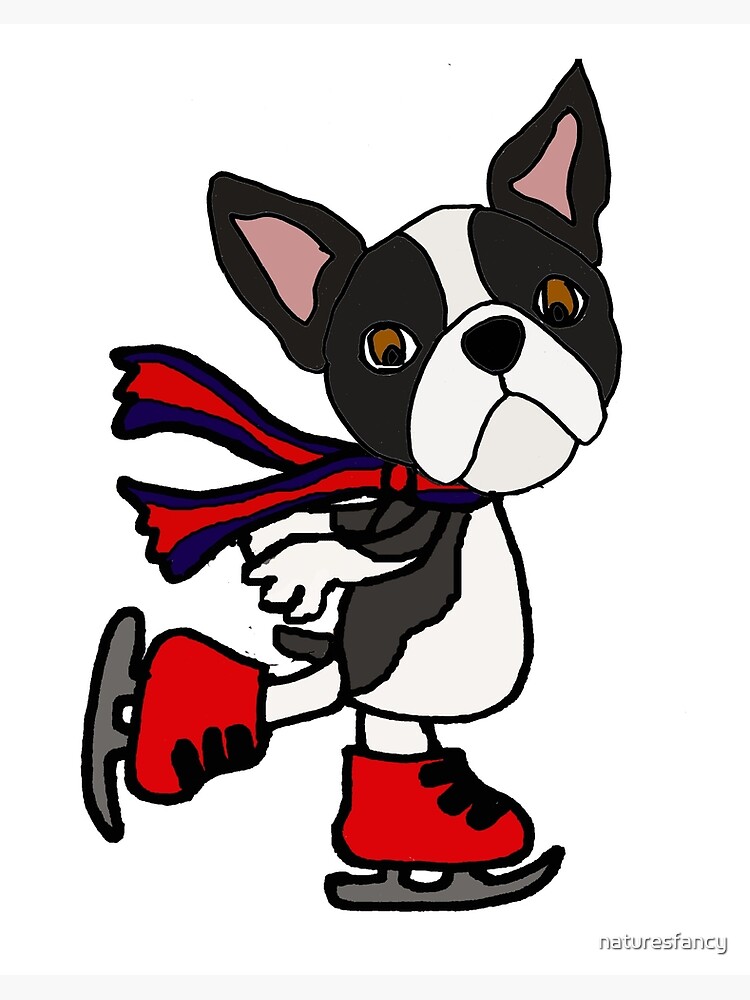 Cute Boston Terrier Dog Ice Skating Cartoon | Art Board Print