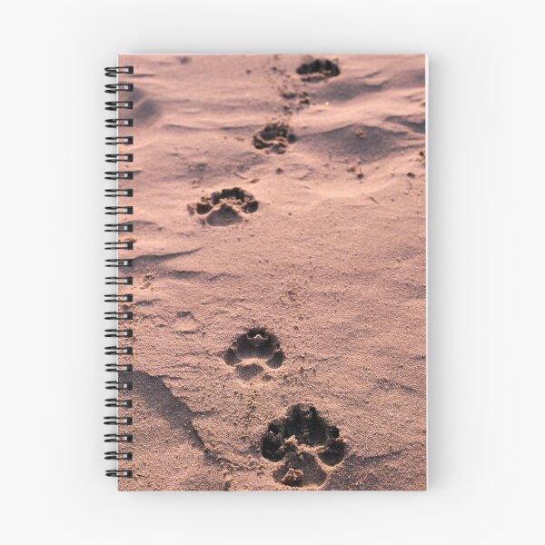 Artikelvorschau, Footprints in the Sand entworfen und verkauft von sid8chris.