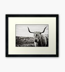 Highland Cow Framed Print