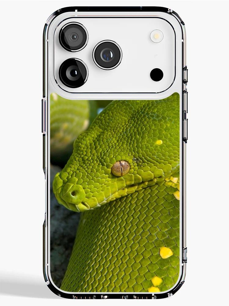 Thumbnail 1 of 5, iPhone Case, Green Tree Python designed and sold by Andrew Goodall.