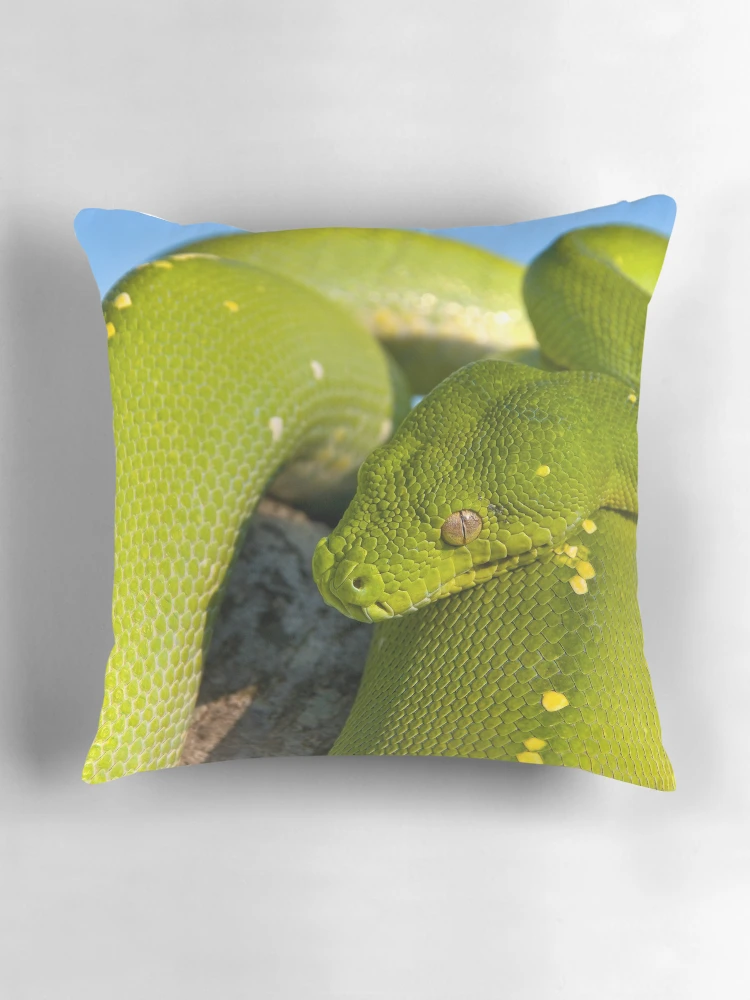 Thumbnail 3 of 4, Pillow, Green Tree Python designed and sold by Andrew Goodall.