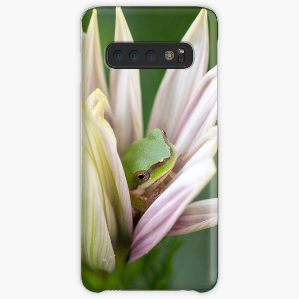Dwarf Tree Frog, Maleny Queensland Samsung Galaxy Snap Case
