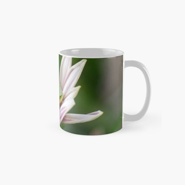 Dwarf Tree Frog, Maleny Queensland Classic Mug