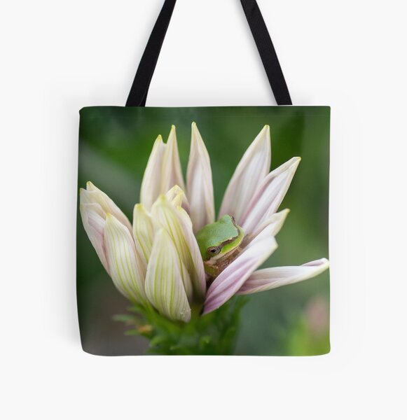 Dwarf Tree Frog, Maleny Queensland All Over Print Tote Bag