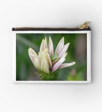 Dwarf Tree Frog, Maleny Queensland Studio Pouch