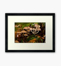 Small World Framed Print