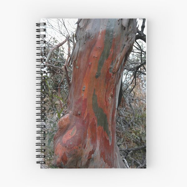 Aperçu de l'œuvre Cool Bark créée et vendue par Colin12.