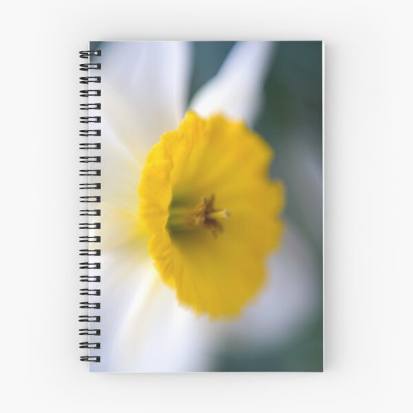 Item preview, Daffodil designed and sold by Mary Broome.