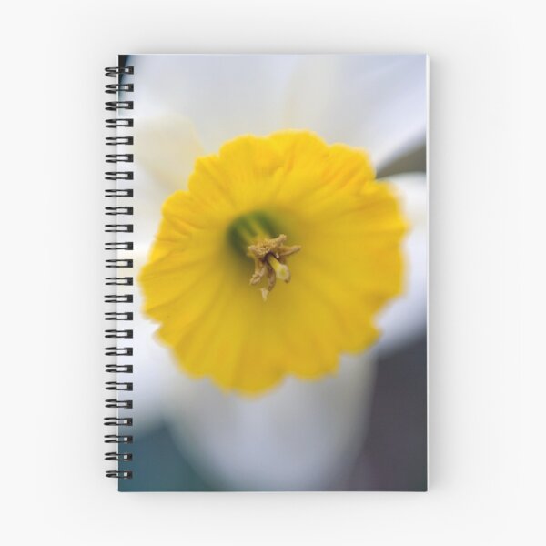 Item preview, Daffodil  designed and sold by Mary Broome.