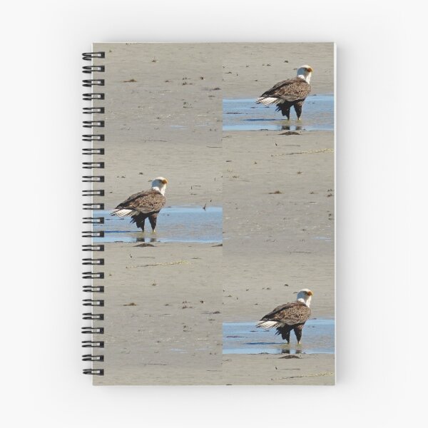 Item preview, The Eagle Has Landed designed and sold by 2CrabbySisters.
