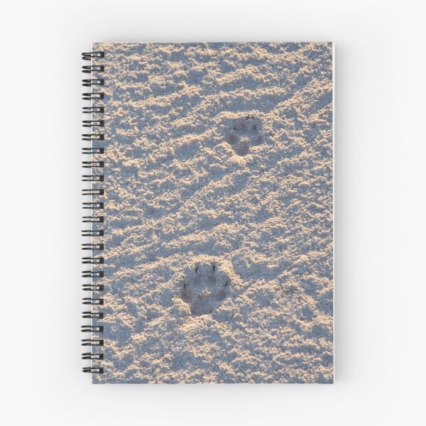 Item preview, Dingo tracks in the salt designed and sold by David Burren.