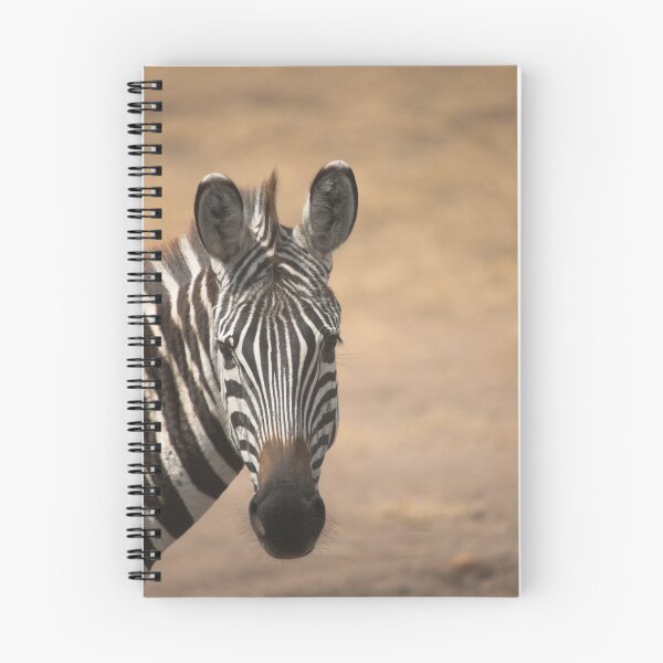 Item preview, Zebra - Masai Mara, Kenya designed and sold by dawesy.