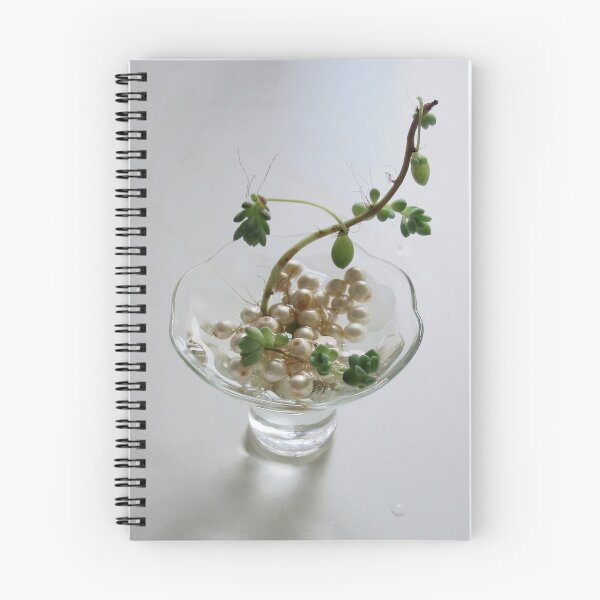 Item preview, perlas n planta designed and sold by sunset.