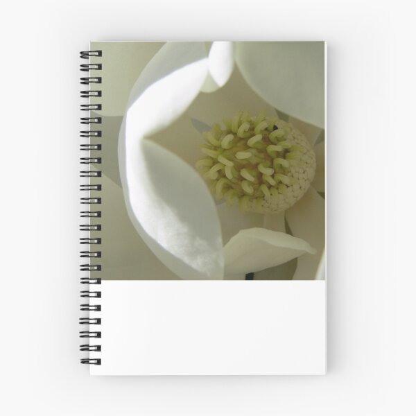 Item preview, Magnolia Flower closeup designed and sold by skyb.