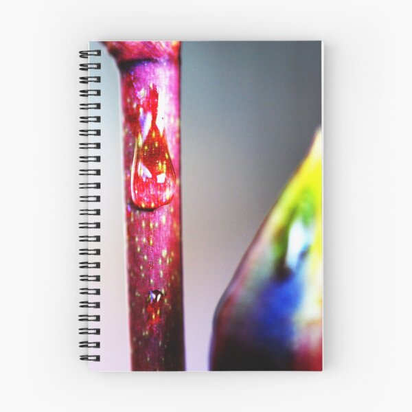 Aperçu de l'œuvre Tige d'orchidée créée et vendue par Colleen Roberts.