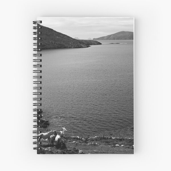 Item preview, Horseshoe Coast designed and sold by aidan  moran.