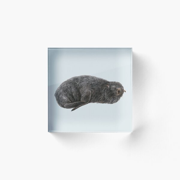 Item preview, Southern fur seal designed and sold by stasia-ch.