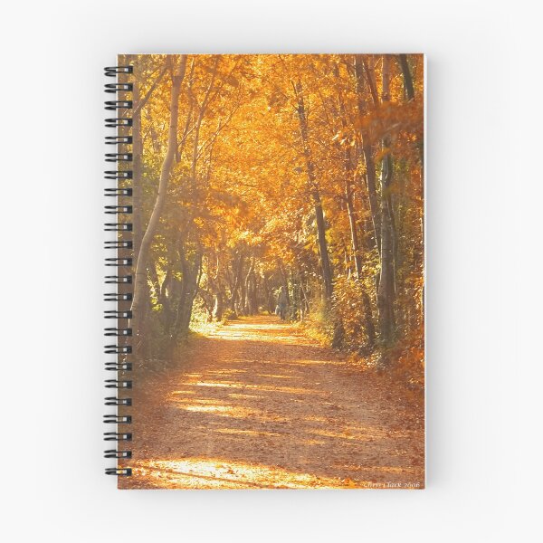 Item preview, Autumn in Edinburgh designed and sold by Chris Clark.
