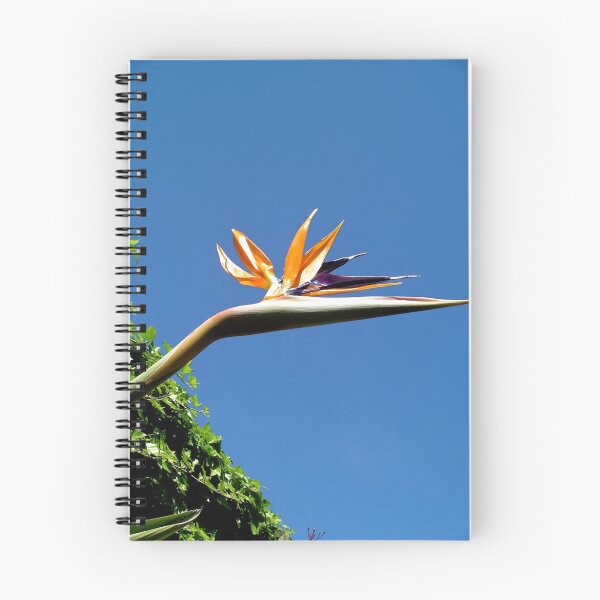 Item preview, AVE del Paraiso designed and sold by joolz.