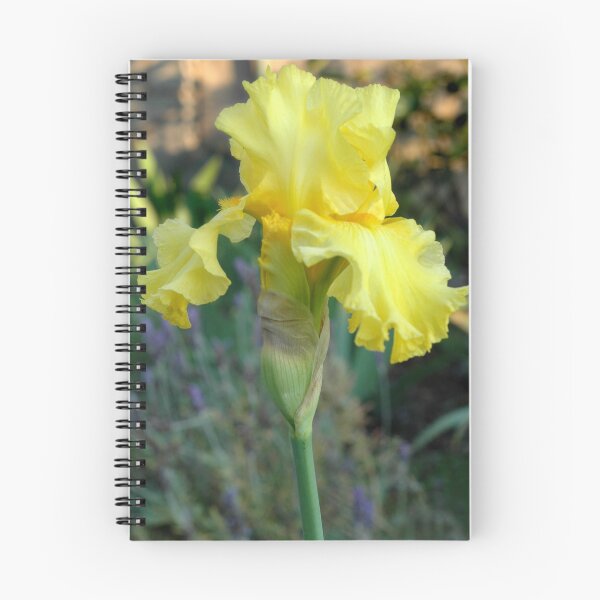 Item preview, Yellow iris designed and sold by Tempest.