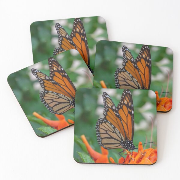 Item preview, Monarch Butterfly on Cape Honeysuckle designed and sold by Debra Martz.