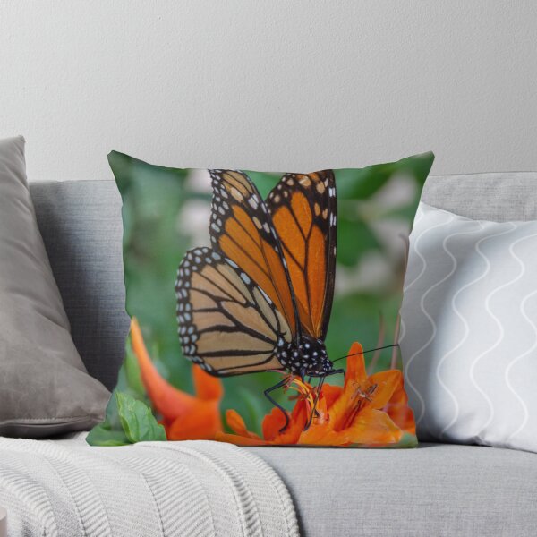 Item preview, Monarch Butterfly on Cape Honeysuckle designed and sold by Debra Martz.