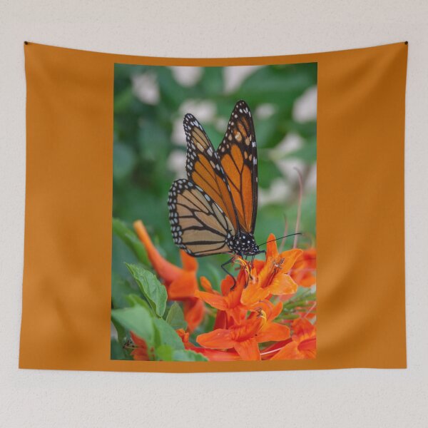 Item preview, Monarch Butterfly on Cape Honeysuckle designed and sold by Debra Martz.