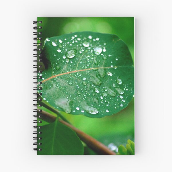 Item preview, Rain Shower designed and sold by Lindsey Downing.