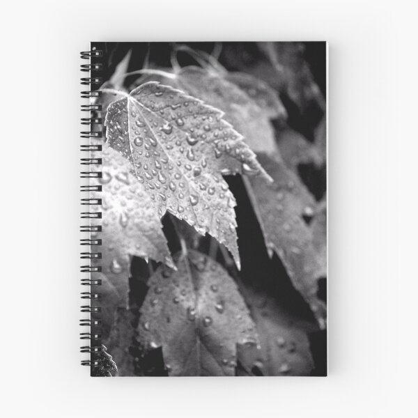Item preview, Rain Shower II designed and sold by Lindsey Downing.
