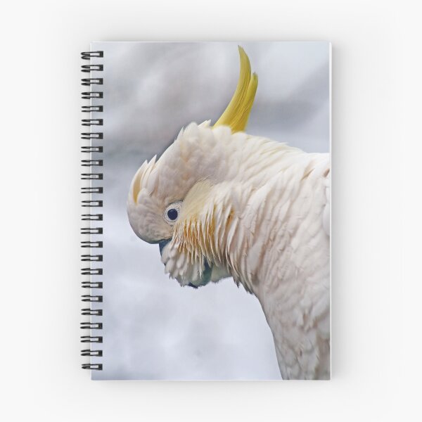 Item preview, Looking down designed and sold by Robyn Lakeman.