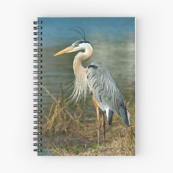 Item preview, Great Blue Heron  designed and sold by Delores Knowles.