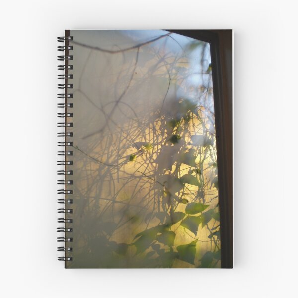Item preview, Sunrise and a Frosted Window designed and sold by Hippo.