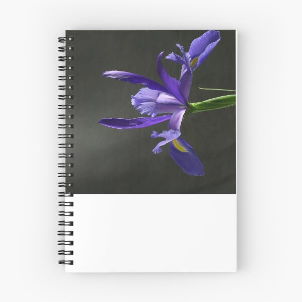 Item preview, Iris designed and sold by Lawrence Winder.