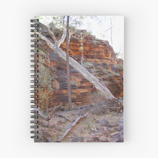 Item preview, Aligator Gorge - Wilmington South Australia designed and sold by Linda Hitch.