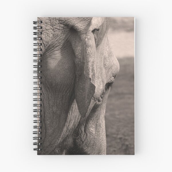 Item preview, Elephant at Paignton Zoo designed and sold by graham1.