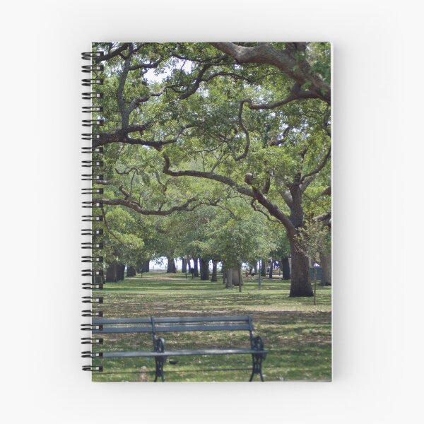Item preview, Charleston Battery designed and sold by PhotoGirlSC.
