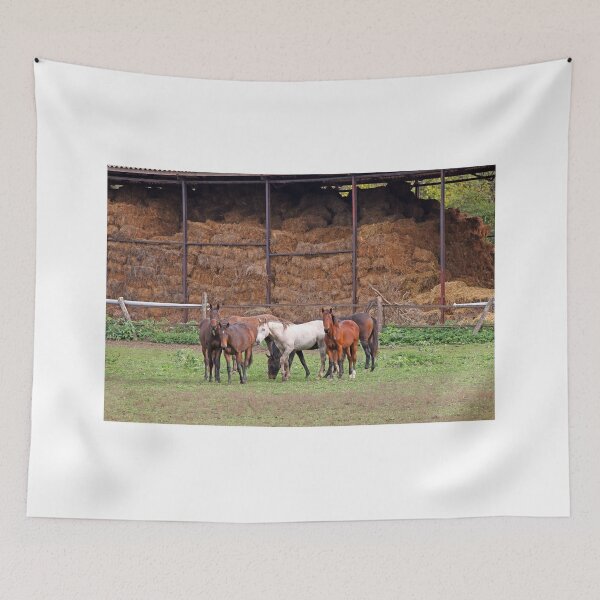 Item preview, horses on farm  designed and sold by goceris.